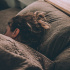 Ученые выяснили, что время сна влияет на расстройства психики 